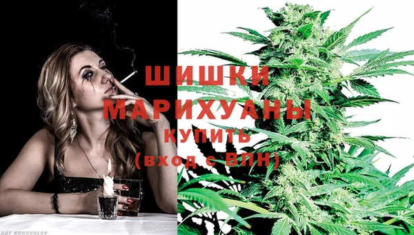 прущая мука Михайлов